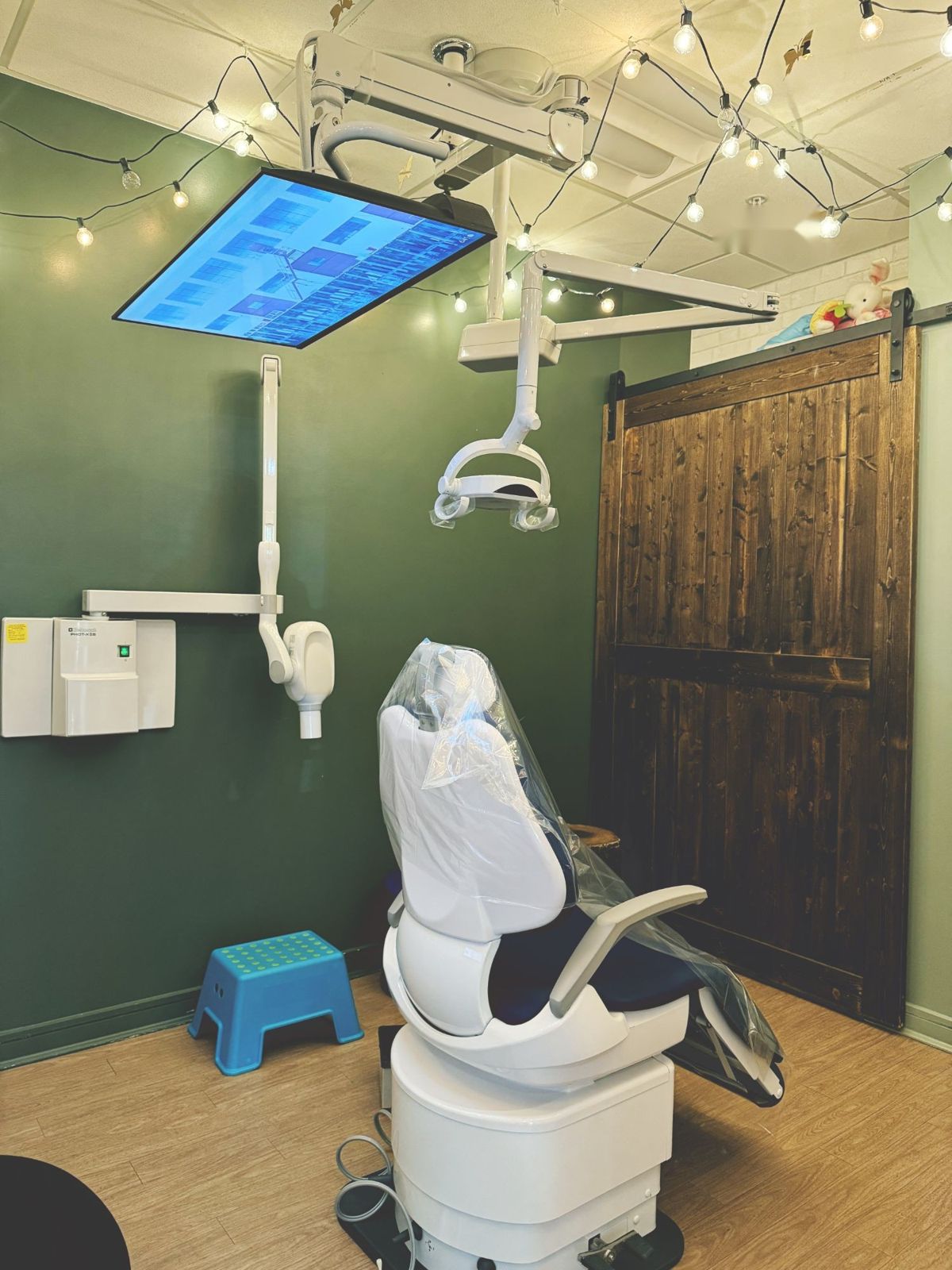 The Treehouse Room: a treatment room with green walls, string lights, a barn door, and a TV on the ceiling
